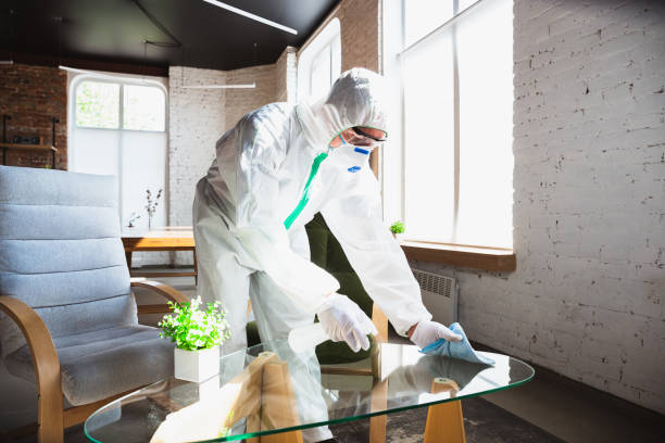 Trusted Wellington, OH Mold Removal & Remediation Experts